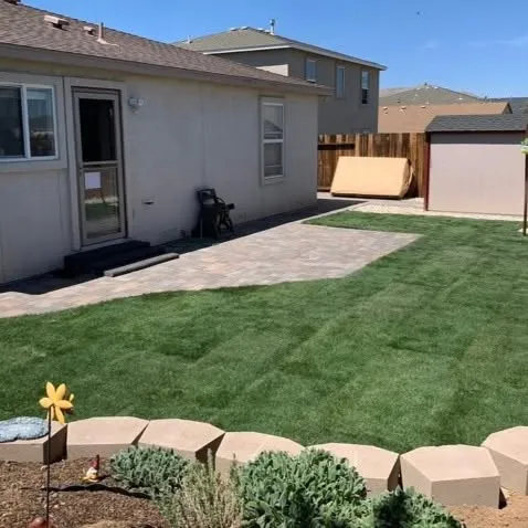 Artificial turf shaped around adjacent landscape features
