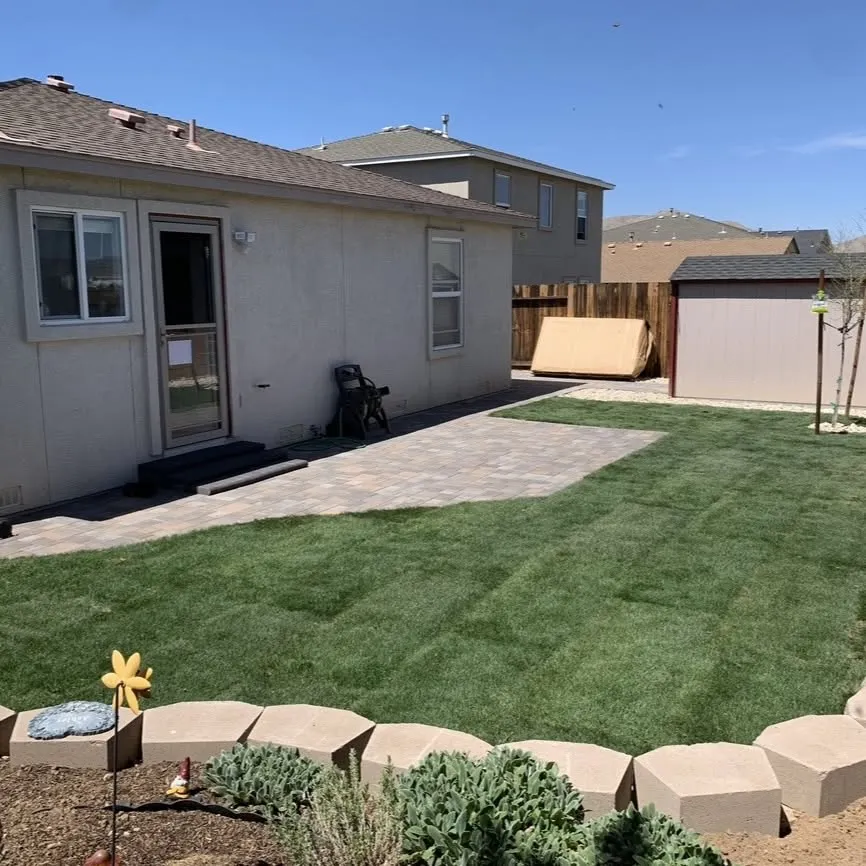 Completed turf surface within a residential outdoor space